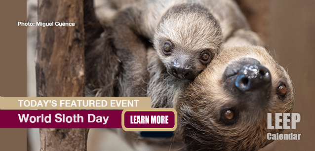 No Image found . This Image is about the event Sloth Day, Intl: October 19. Click on the event name to see the event detail.