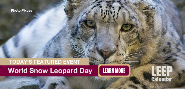 No Image found . This Image is about the event Snow Leopard Day, World (2013): October 23. Click on the event name to see the event detail.