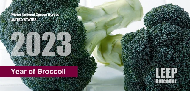 No image found Year_of_BroccoliE.webp
