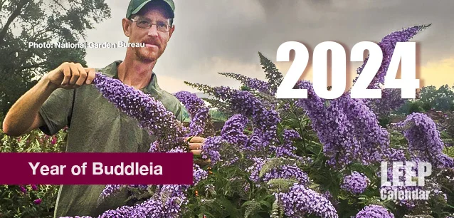 No Image found . This Image is about the event Year of the Buddleia: 2024. Click on the event name to see the event detail.