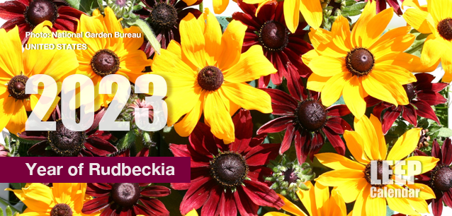 No Image found . This Image is about the event Year of Rudbeckia: 2023. Click on the event name to see the event detail.