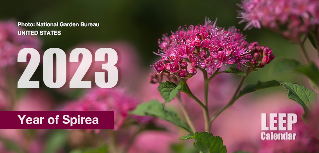 No Image found . This Image is about the event Year of Spirea: 2023. Click on the event name to see the event detail.