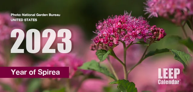 No image found Year_of_Spirea_2023E.webp