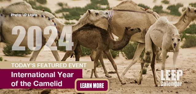 No Image found . This Image is about the event Food—International Year of Camelids: 2024. Click on the event name to see the event detail.