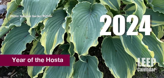 No Image found . This Image is about the event Year of the Hosta: 2024. Click on the event name to see the event detail.