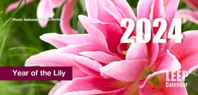 No Image found . This Image is about the event Year of the Lily: 2024. Click on the event name to see the event detail.