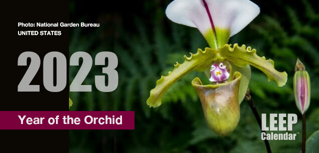 No Image found . This Image is about the event Year of the Orchid: 2023. Click on the event name to see the event detail.