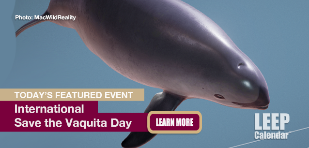 No Image found . This Image is about the event Vaquita Day, Intl. Save the: October 25. Click on the event name to see the event detail.