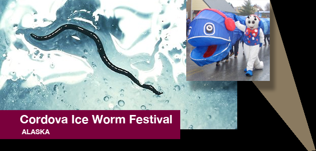 No image found 4056_Cordova_Ice_Worm_DayE.png