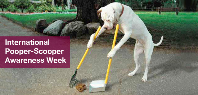 No image found 5981_Pooper_Scooper_Wk_IntlE.png