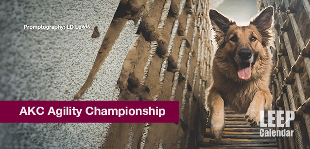 No image found AKC-Agility-Championship-E.png