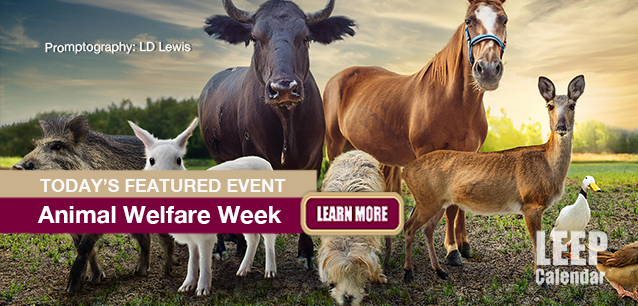 No Image found . This Image is about the event Animal Welfare Week: October 3-9. Click on the event name to see the event detail.