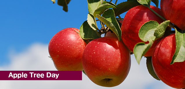 No image found Apple_Tree_DayE.png