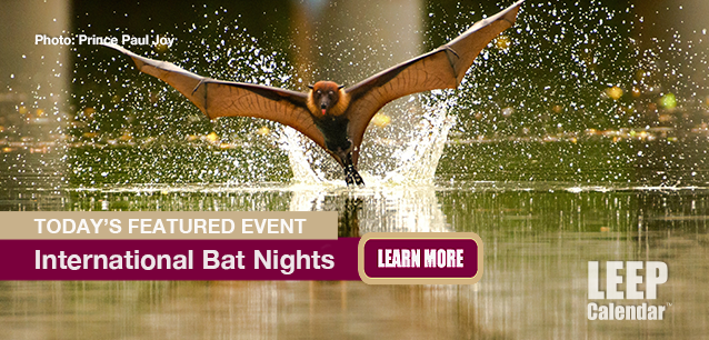 No Image found . This Image is about the event Bat Nights, Intl: August 30-31. Click on the event name to see the event detail.
