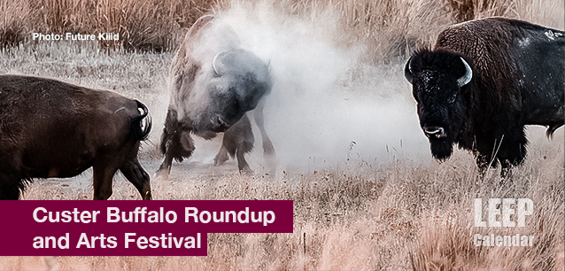 No image found Buffalo_roundup_Arts_FestivalE.png