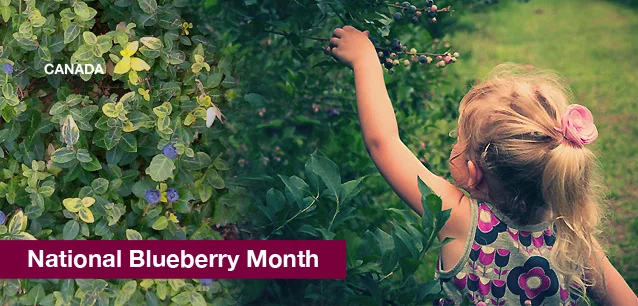 No image found Canada_National_Blueberry_MonthE.webp