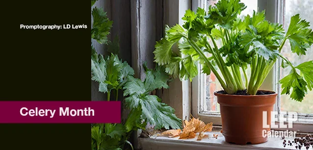 No image found Celery-Month-E.webp