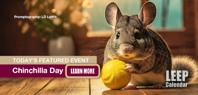 No image found Chinchilla-Day-E.webp
