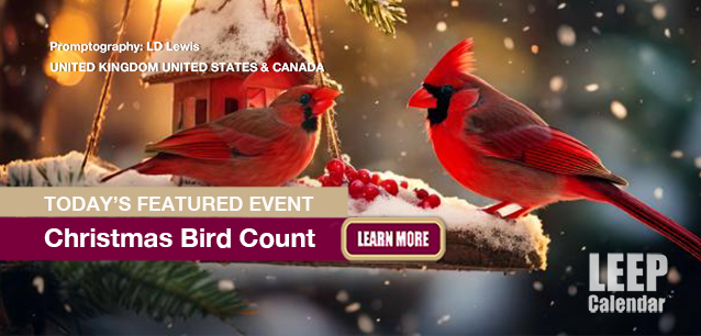 No Image found . This Image is about the event Christmas Bird Count (US/UK/CA): December 14-January 5, 2026. Click on the event name to see the event detail.