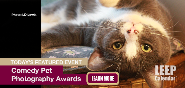 No Image found . This Image is about the event Comedy Pet Photography Awards: June 1 (est). Click on the event name to see the event detail.