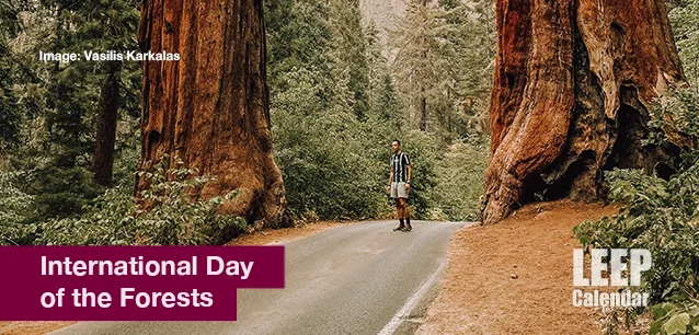 No image found Day_of_the_ForestsE.webp