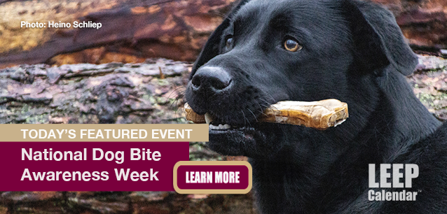 No Image found . This Image is about the event Dog Bite Awareness Week, Ntl.: June 1-8. Click on the event name to see the event detail.
