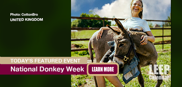 No Image found . This Image is about the event Donkey Week (UK): May 5-11. Click on the event name to see the event detail.