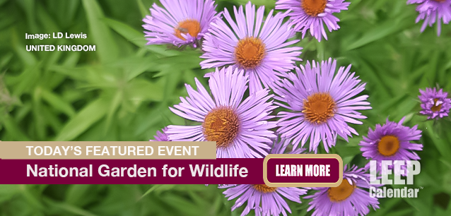 No Image found . This Image is about the event Garden Wildlife Week (UK): May 26 - June 1. Click on the event name to see the event detail.
