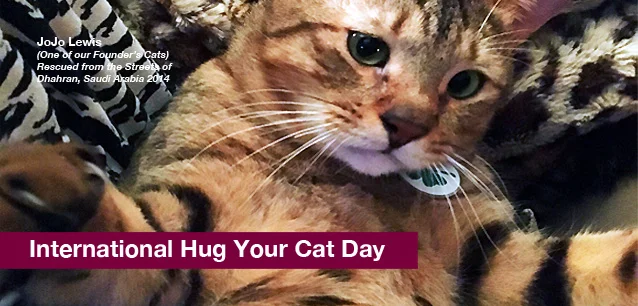 No image found Hug_Your_Cat_DayE.webp