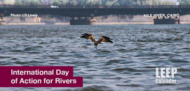 No image found Intl_Day_of_Action_for_RiversE.png