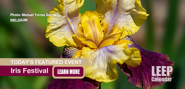 No Image found . This Image is about the event Iris Festival (BE): May 3-4 (est). Click on the event name to see the event detail.
