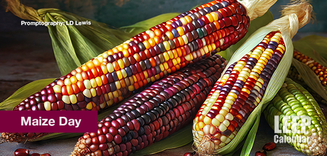 No image found Maize_DayE.png