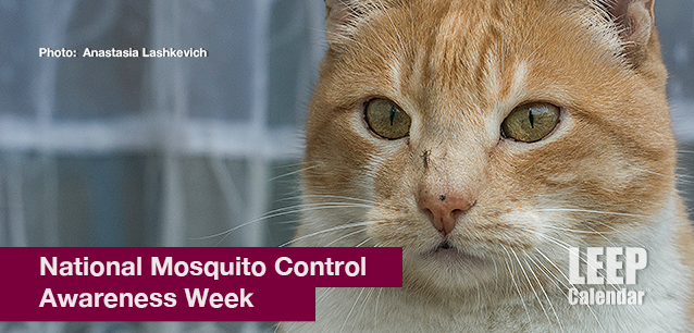 No image found Mosquito_Control_Awareness_WeekE.png