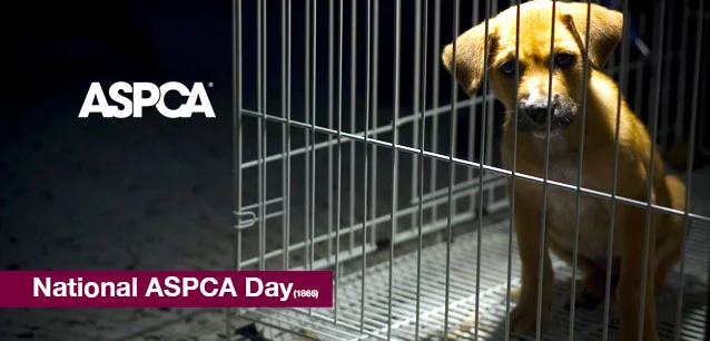 No image found National_ASPCA_DayE.webp