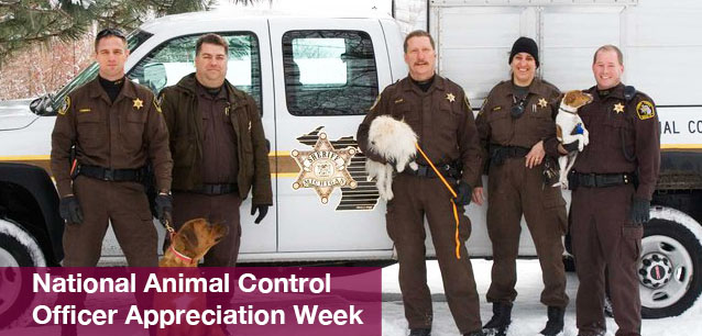 No image found National_Animal_Control_Officer_Appreciation_WeekE.png