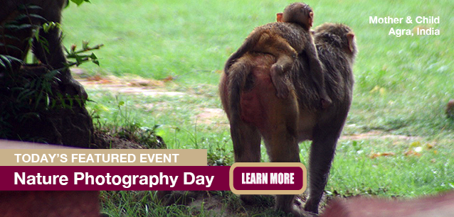 No Image found . This Image is about the event Photography, Nature Photography Day: June 15. Click on the event name to see the event detail.