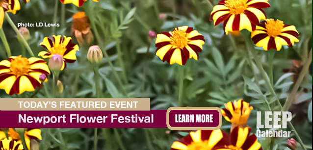 No Image found . This Image is about the event Newport Flower Festival, (US-RI): June 20-22 (est). Click on the event name to see the event detail.