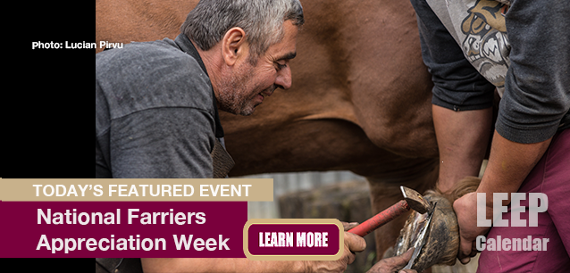No Image found . This Image is about the event Farriers Week, Ntl.: July 6-12. Click on the event name to see the event detail.