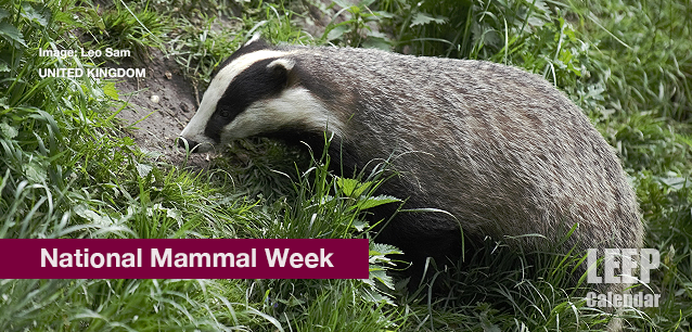 No image found Ntl_Mammal_WK_UKE.png