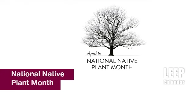 No image found Ntl_Native_Plant_MonthE.webp