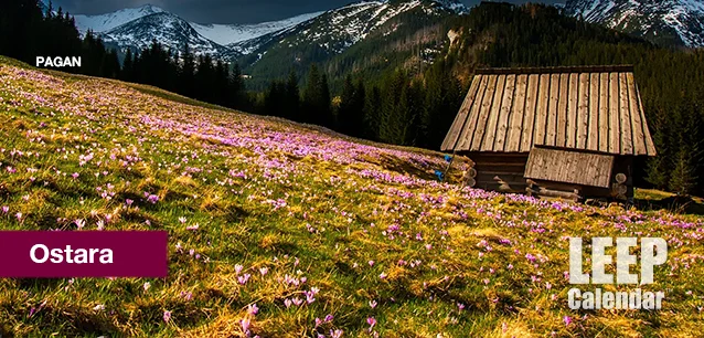 No image found OstaraE.webp