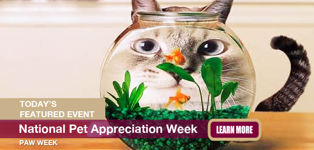 No Image found . This Image is about the event Pet Appreciation Week (PAW), Ntl.: June 1-7. Click on the event name to see the event detail.