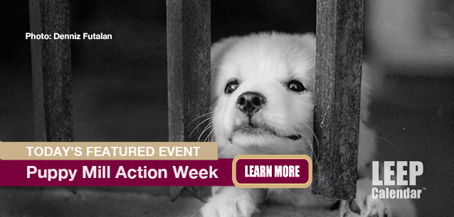 No Image found . This Image is about the event Puppy Mill Action Week: May 5-11. Click on the event name to see the event detail.