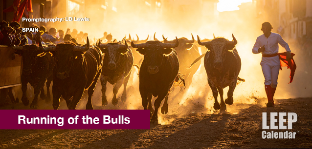 No image found Running-of-the-bulls-E.png