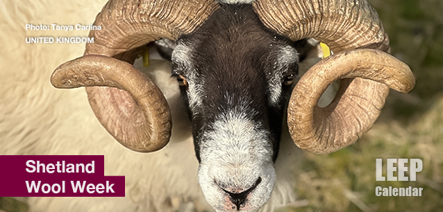 No Image found . This Image is about the event Wool Week, Shetland: September 28 - October 4 (est). Click on the event name to see the event detail.