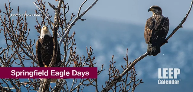 No image found Springfield_Eagle_DaysE.webp