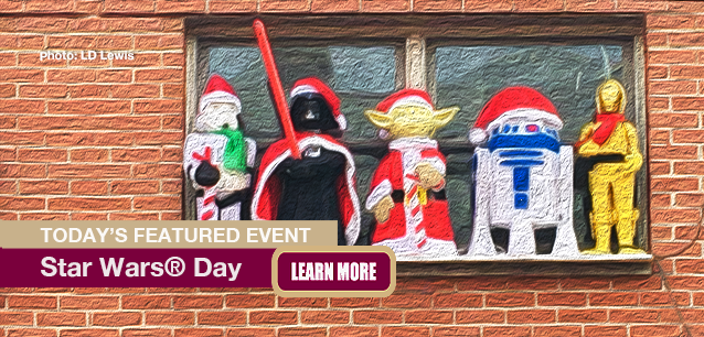 No Image found . This Image is about the event Star Wars Day: May 4. Click on the event name to see the event detail.