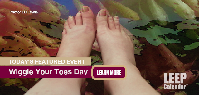 No Image found . This Image is about the event Wiggle Your Toes Day, Ntl.: August 6. Click on the event name to see the event detail.