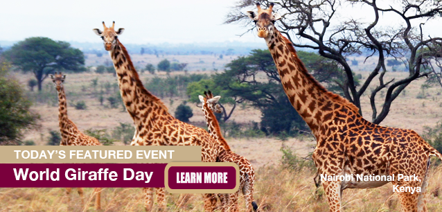 No Image found . This Image is about the event Giraffe Day, World: June 21. Click on the event name to see the event detail.