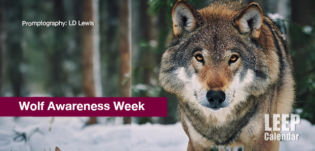 No image found Wolf-Awareness-Week-E.png